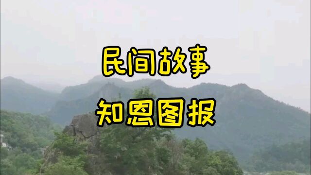 民间故事:知恩图报