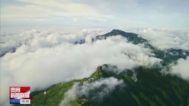 李炳军在铜仁市调研