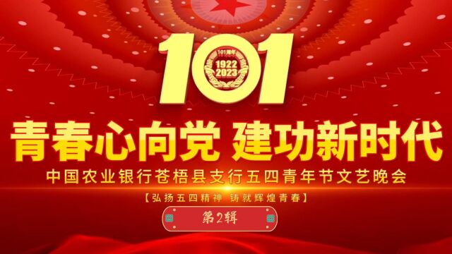 中国农业银行苍梧县支行2023年五四青年节文艺晚会(2)