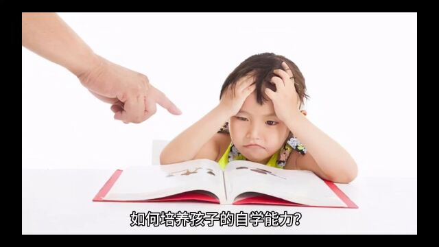 如何培养孩子的自学能力