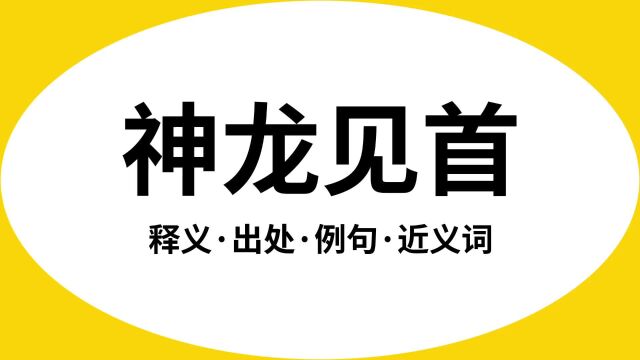 “神龙见首”是什么意思?