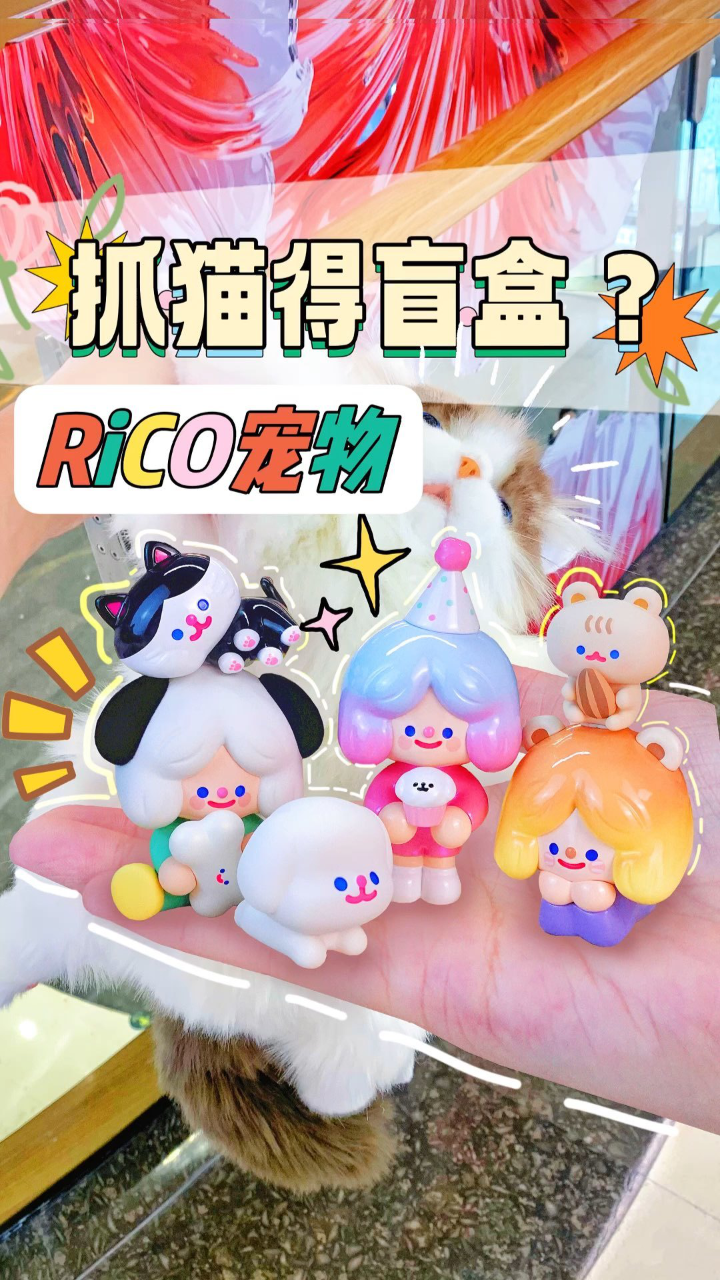 96抓猫竟然给了盲盒?超可爱rico宠物特辑!