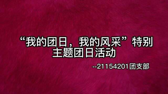 “我的团日,我的风采”特别主题团日活动