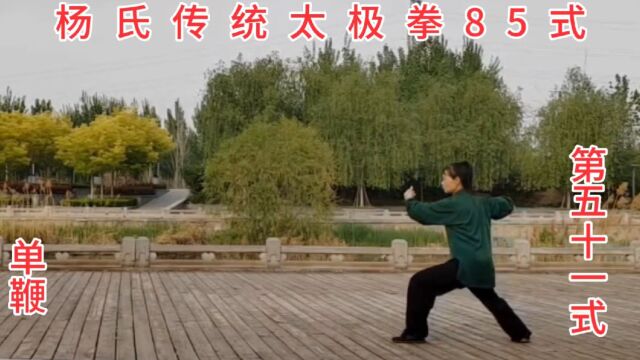 杨氏传统太极拳85式