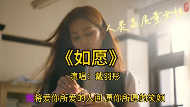 《如愿》演唱者:戴羽彤,愿你所念,所愿皆可如愿