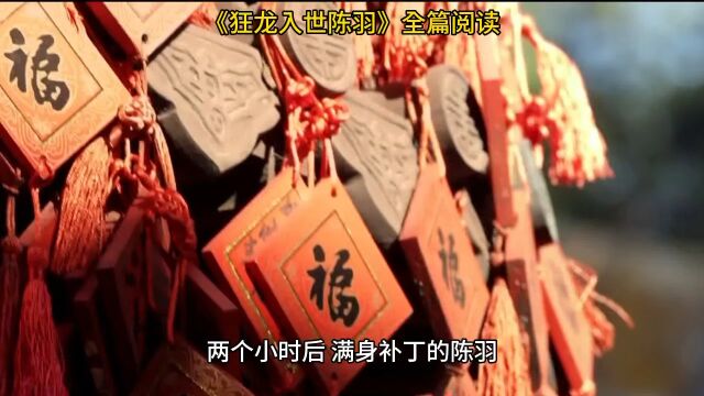 《狂龙入世陈羽》◆全文阅读【狂龙入世】小说完整版