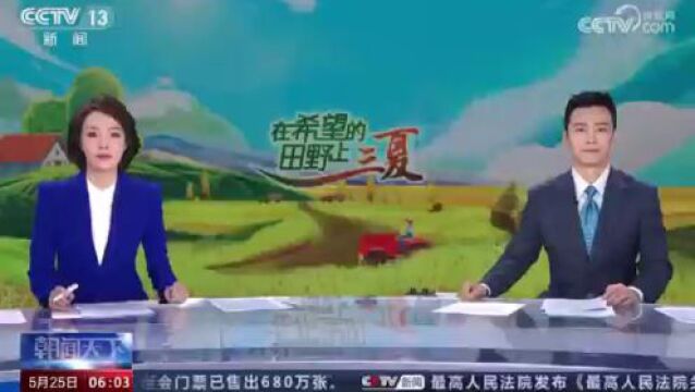 河南小麦陆续开镰 多措施确保颗粒归仓