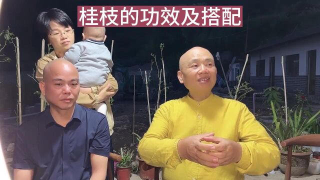 1桂枝汤的功效及搭配