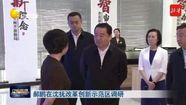 郝鹏在沈抚改革创新示范区调研