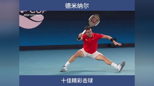 德米纳尔十佳击球