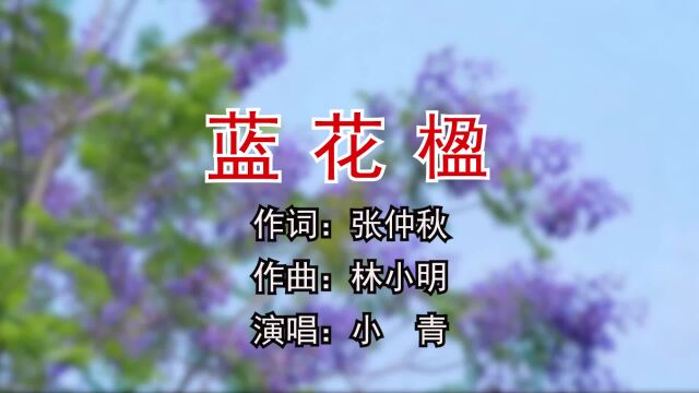 蓝花楹 作词:张仲秋 作曲:林小明 编曲:林小明 演唱:小青