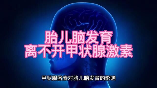 胎儿脑发育离不开甲状腺激素!#怀孕 #医学科普