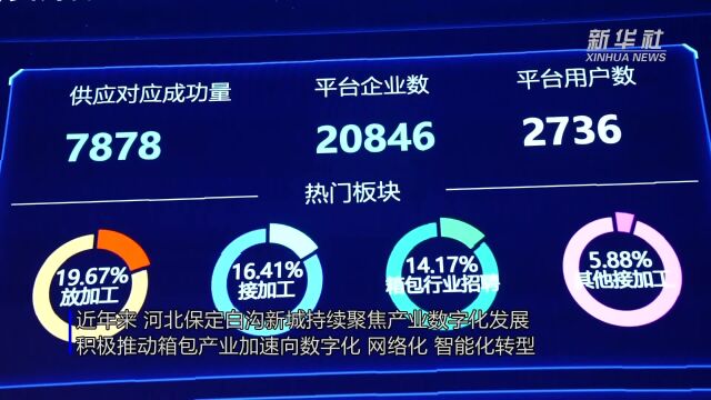 河北白沟:数字化赋能箱包产业发展