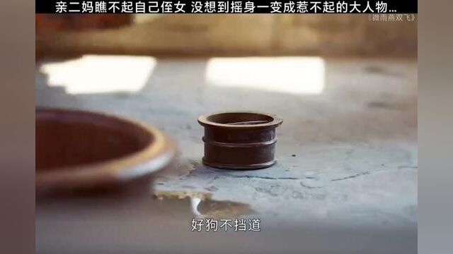 亲二妈瞧不起自己侄女 没想到摇身一变成惹不起的大人物 #微雨燕双飞