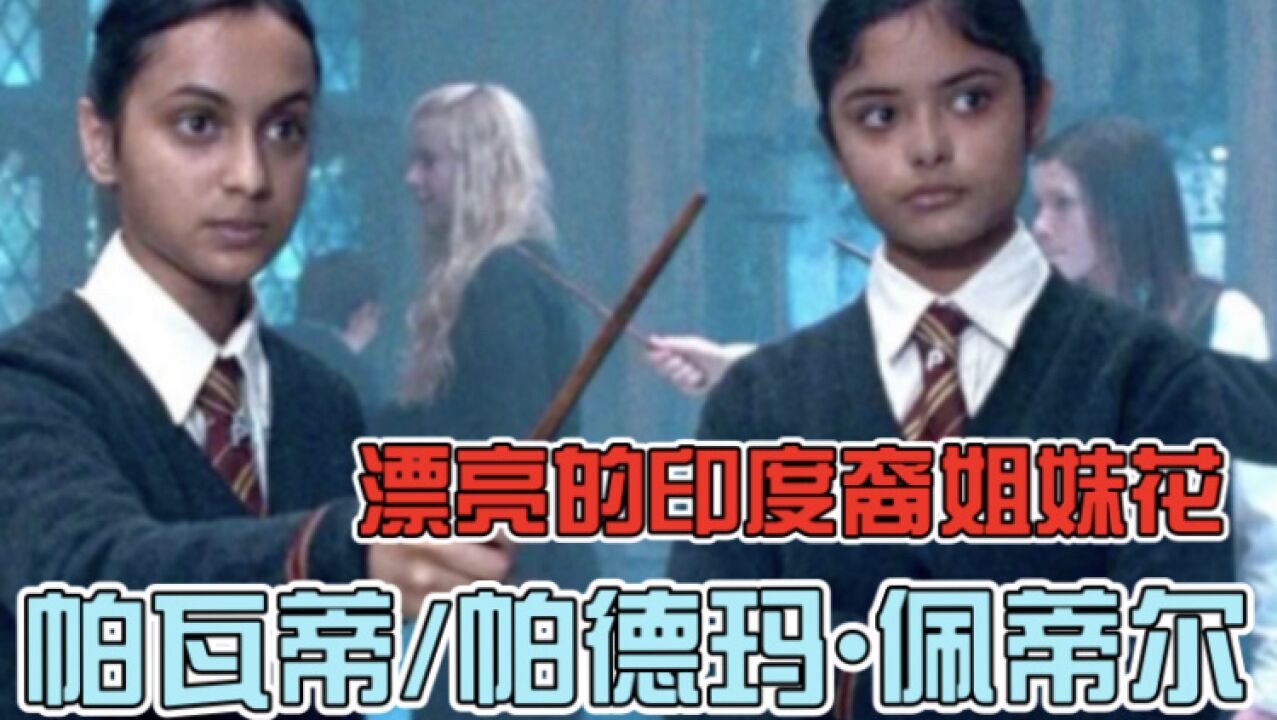 【哈利波特】霍格沃茨魔法史——帕瓦蒂/帕德玛·佩蒂尔