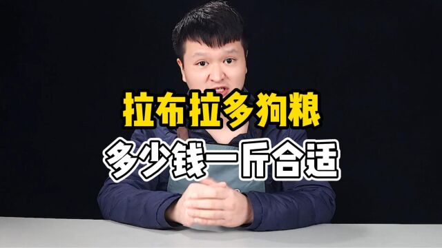 拉布拉多狗粮多少钱一斤?吃哪款狗粮合适?