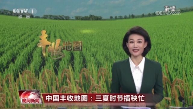 庆丰收 又是一年好“丰”景 从数据和地图中感受收获的喜悦