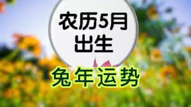 五月出生的人今年运势如何