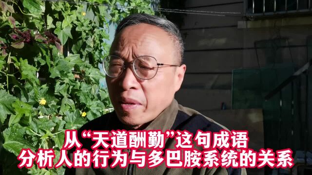 从“天道酬勤”这句成语分析人的行为与多巴胺系统的关系