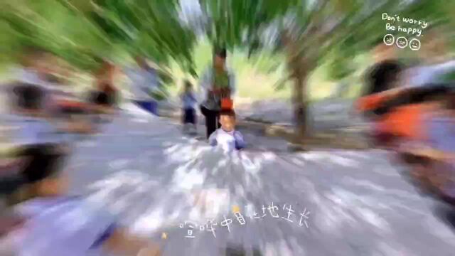 平安湖幼儿园研学活动打桑椹