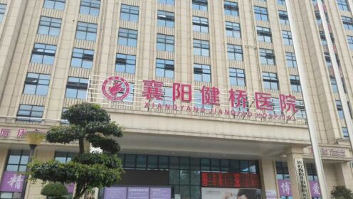 湖北襄阳通报“医院贩卖出生证”：院长已被采取刑事强制措施