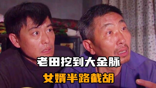 老田挖到大金脉,女婿半路截胡,淘金人“截头打绕”了解一下!