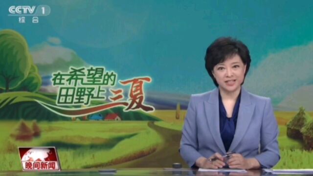 发达面粉集团每天收购小麦超过1.5万吨——央视报道