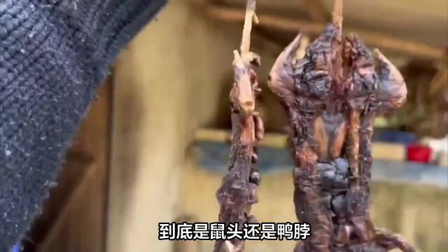 江西工业学院“鼠头门”:涉事企业被顶格处罚