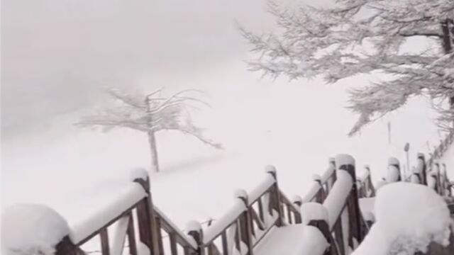 河北驼梁迎今冬初雪:漫山遍野披上厚厚一层“洁白冬装”,美不胜收