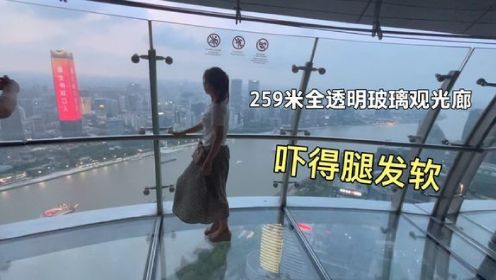 站在东方明珠259米，全透明玻璃上看上海全景，是怎样的感觉？