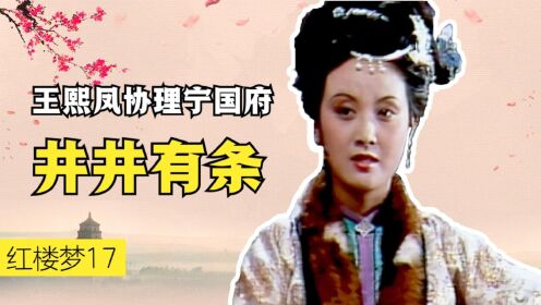 王熙凤协理宁国府,小小年纪却显露超强手段,简直了不得_高清1080P在线观看平台_腾讯视频
