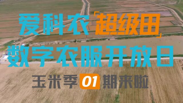 爱科农超级田数字农服开放日玉米季01期来啦!敬请期待!