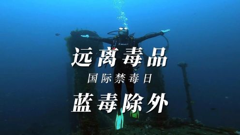 珍爱生命，远离毒品，蓝毒（潜水）除外！国际禁毒日潜水宣传片来了。#国际禁毒日 #远离毒品 #潜水 #巴厘岛潜水 #水下摄影