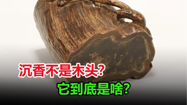 沉香不是木头?挖一挖沉香的秘密,看看它到底是什么东西?