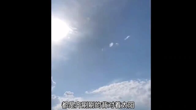 不是跟着太阳转动吗?为什么这些背对着太阳?