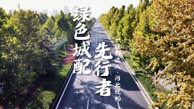 一线物流人系列纪录片之《河北悦畅ⷮŠ绿色城配先行者》:保供双十一,他们不忘初心