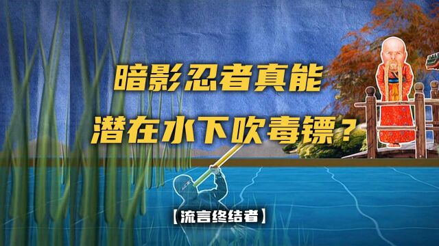 暗影忍者不仅能在水下吹毒镖,还可以徒手接箭?