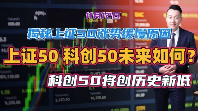 陈译辉:揭秘上证50指数涨势缓慢原因,为何科创50将创历史新低?