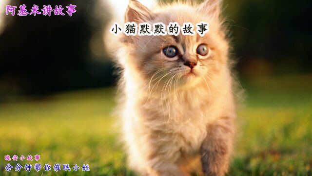 136、彼得兔系列:13小猫默默的故事