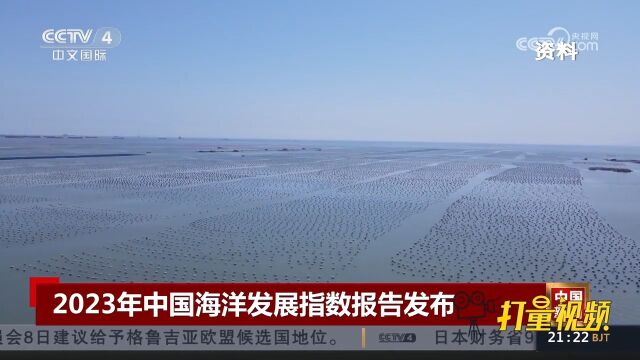 2023年中国海洋发展指数报告发布,海洋发展的韧性与活力持续彰显