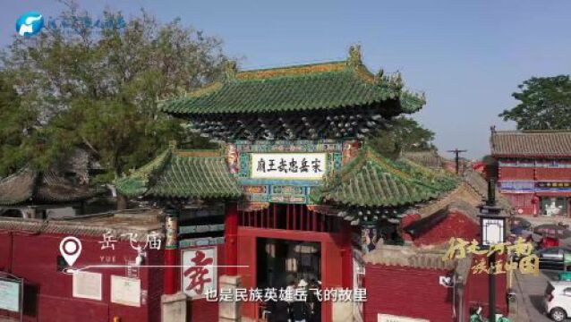 一片甲骨何以“惊天下”?安阳文旅局长带你找答案