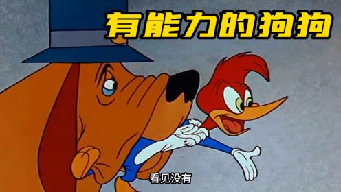 搞笑配音：啄木鸟伍迪与侦探狗的斗智斗勇！