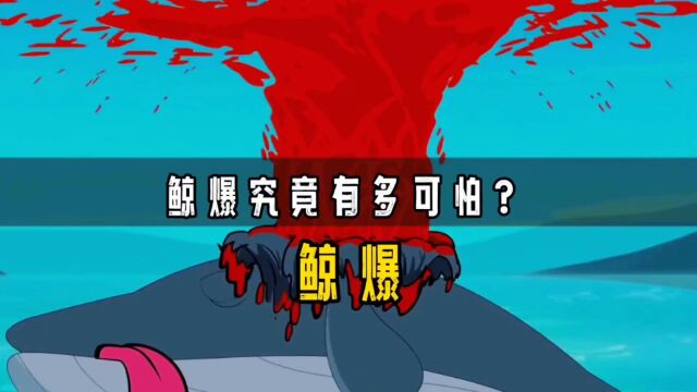 鲸爆究竟有多可怕?2004年我国台湾省,发生鲸爆,一周后臭味才散