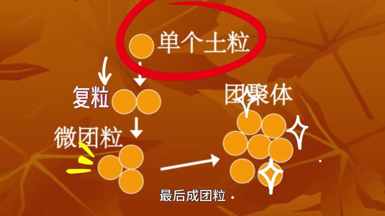护土中国 瑞丰生态——如何增加土壤团粒结构?