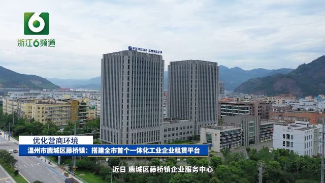 温州市鹿城区藤桥镇 :搭建全市首个一体化工业企业租赁平台