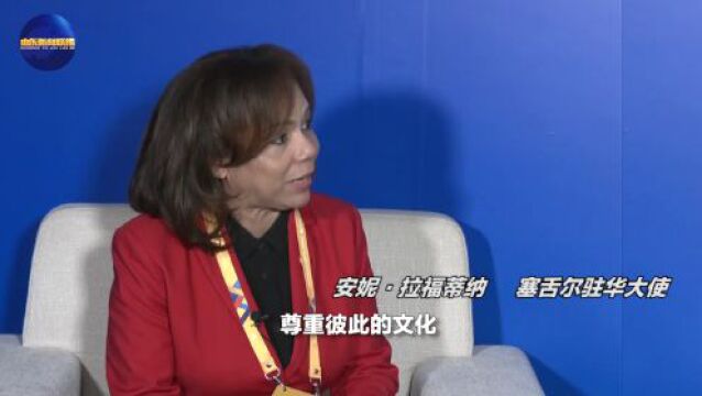 凝聚世界青年 共促友谊合作——2023国际青年交流大会