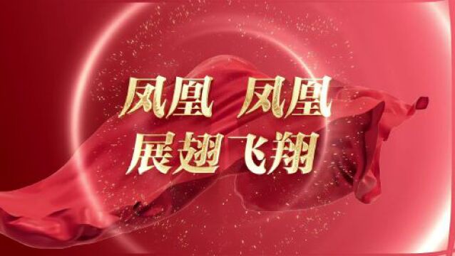 【擂台比武亮实绩 以赛促干争先锋】系列⑩:花东镇凤凰村,解锁现代城中村新图景