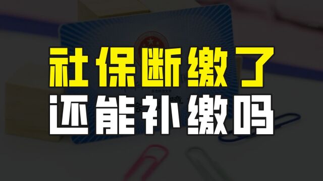 社保断交了还能补缴吗?答案其实很明确,另外更要注意医保问题