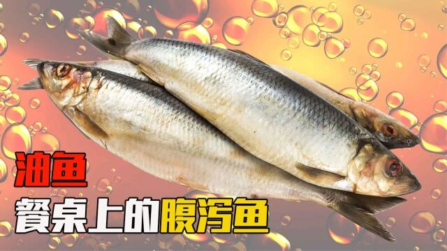 油鱼有多可怕?吃完屁股漏油3天,被多个国家禁止食用