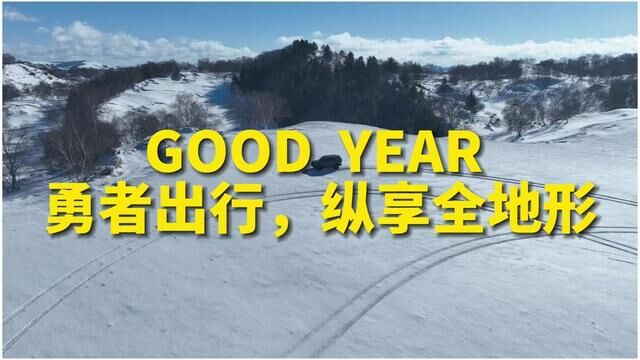 来看看固特异RT轮胎雪地表现,抓地那是杠杠滴!#雪地穿越 #固特异RT轮胎